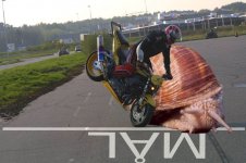 niklas1z.jpg