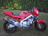 48866_hll_s.jpg