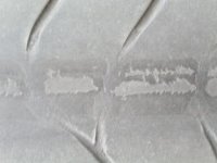 PICT1190.JPG