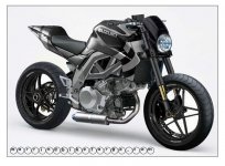 SV1000.jpg