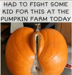 1760986085206.png