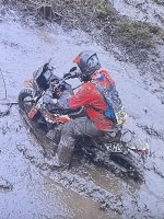 IMG_3378.jpeg