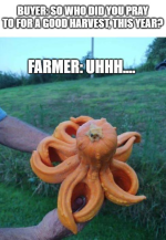 1761428936042.png