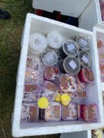 IMG_7770.jpeg