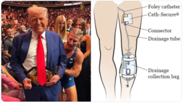 1761882991072.png 1761882991072.png