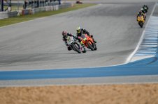 _YB77639.jpg _YB77639.jpg