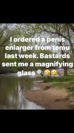 1762414477248.png 1762414477248.png