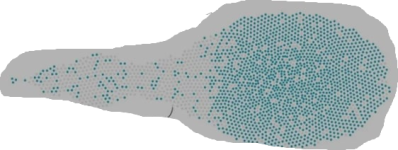 1763279184202.png 1763279184202.png