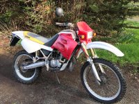 84950718_2307131586244725_9207563984520085504_n.jpg 84950718_2307131586244725_9207563984520085504_n.jpg