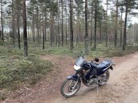 IMG_2341.jpeg IMG_2341.jpeg