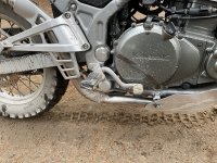 IMG_2343.jpeg IMG_2343.jpeg