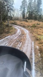 IMG_20251129_112513714_HDR.jpg IMG_20251129_112513714_HDR.jpg