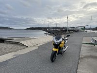 IMG_2345.jpeg IMG_2345.jpeg