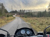 IMG_2348.jpeg IMG_2348.jpeg