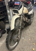 IMG_6797.jpeg IMG_6797.jpeg