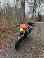 IMG_9473.jpeg IMG_9473.jpeg