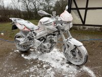 IMG_9474.jpeg IMG_9474.jpeg