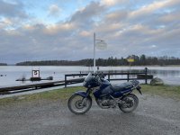 IMG_2352.jpeg IMG_2352.jpeg