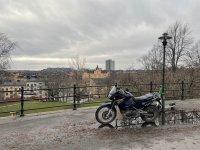 IMG_2365.jpeg IMG_2365.jpeg