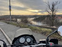 IMG_2366.jpeg IMG_2366.jpeg