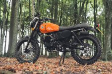 1765907254286.jpeg 1765907254286.jpeg