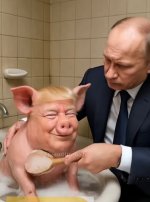 IMG_1565.jpeg IMG_1565.jpeg