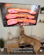 IMG_20251218_002055.jpg IMG_20251218_002055.jpg