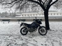 IMG_2398.jpeg IMG_2398.jpeg