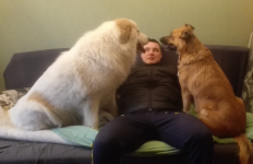 1767367680986.png 1767367680986.png