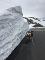 IMG_3794.jpeg IMG_3794.jpeg