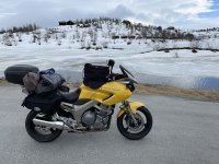 IMG_0251.jpeg IMG_0251.jpeg