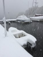 IMG_0344.jpeg IMG_0344.jpeg