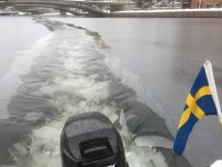 IMG_0355.jpeg IMG_0355.jpeg