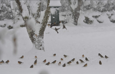 1769672498291.png 1769672498291.png