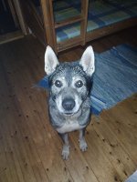 20251101_181033.jpg 20251101_181033.jpg