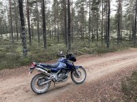 IMG_2342.jpeg IMG_2342.jpeg