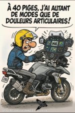 IMG_2346.jpeg IMG_2346.jpeg