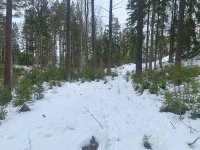 IMG_7519.JPG IMG_7519.JPG