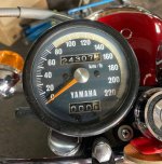 IMG_2499.jpeg IMG_2499.jpeg