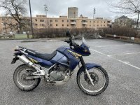 IMG_2513.jpeg IMG_2513.jpeg