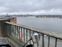 IMG_2510.jpeg IMG_2510.jpeg