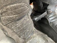 IMG_2515.jpeg IMG_2515.jpeg