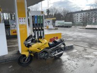 IMG_2525.jpeg IMG_2525.jpeg