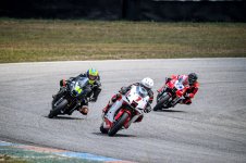 YBR9-117.jpg YBR9-117.jpg