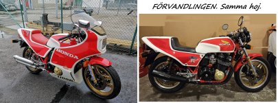 20230731_151036 cut 2 1280 mix.jpg