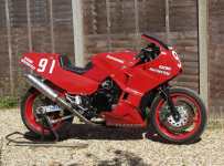 IMG_05331 10 cut.png