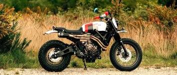 1773683410330.jpeg 1773683410330.jpeg