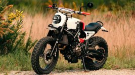 1773683432304.jpeg 1773683432304.jpeg