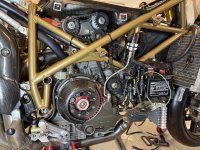 IMG_5907.jpeg IMG_5907.jpeg