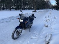 IMG_2432.jpeg